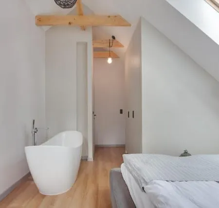 Sobieskiego Dwa Poziomy Apartman *